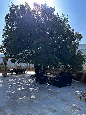 Chalet Image