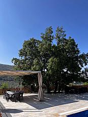 Chalet Image