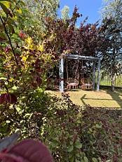 Chalet Image